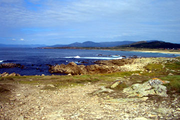 Looking along part of the coast and into the ria