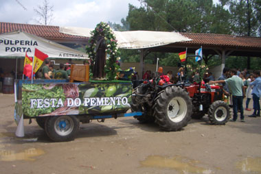 A float at the fiesta